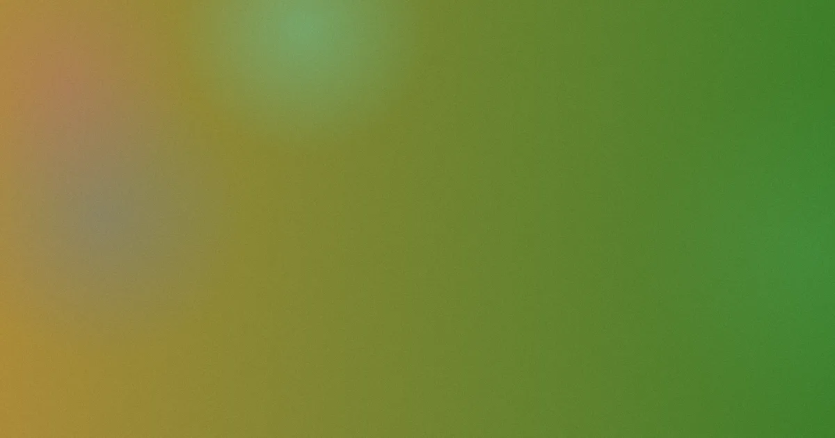 魔法城堡值得吗？购买前看这份清单
